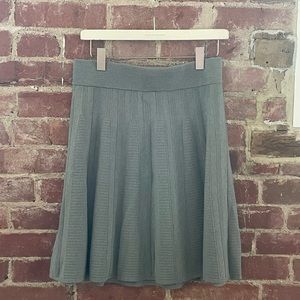 Ann Taylor Skirt